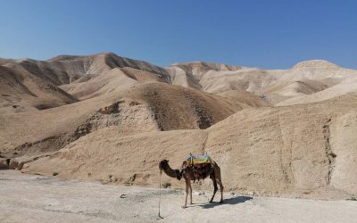 The Judean Desert and Its Monasteries